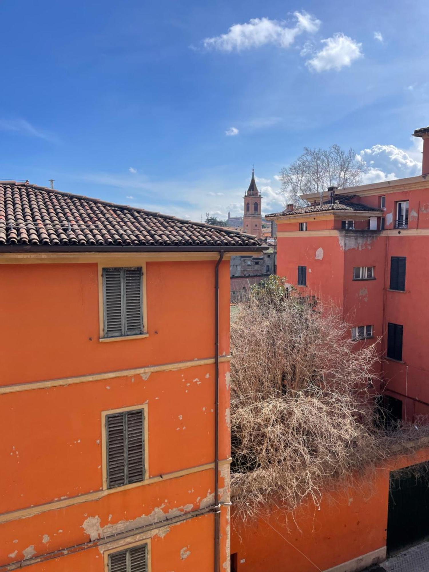 Apartment Bright With Attic Bologna